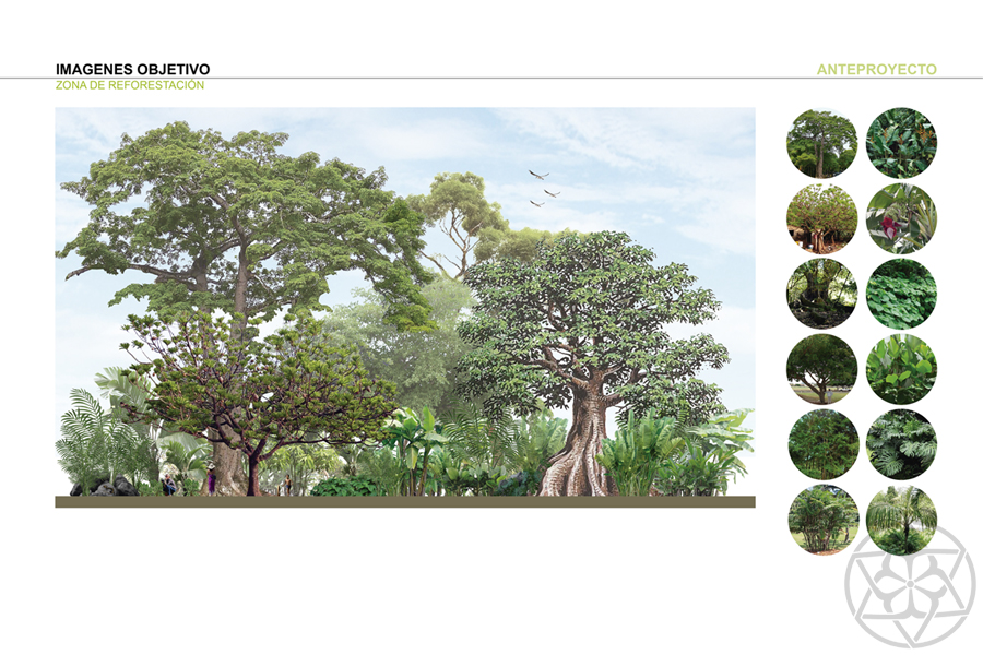 10 Centro Ecoturistico Rio San Pedro