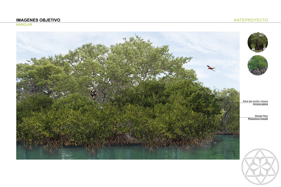 11 Centro Ecoturistico Rio San Pedro