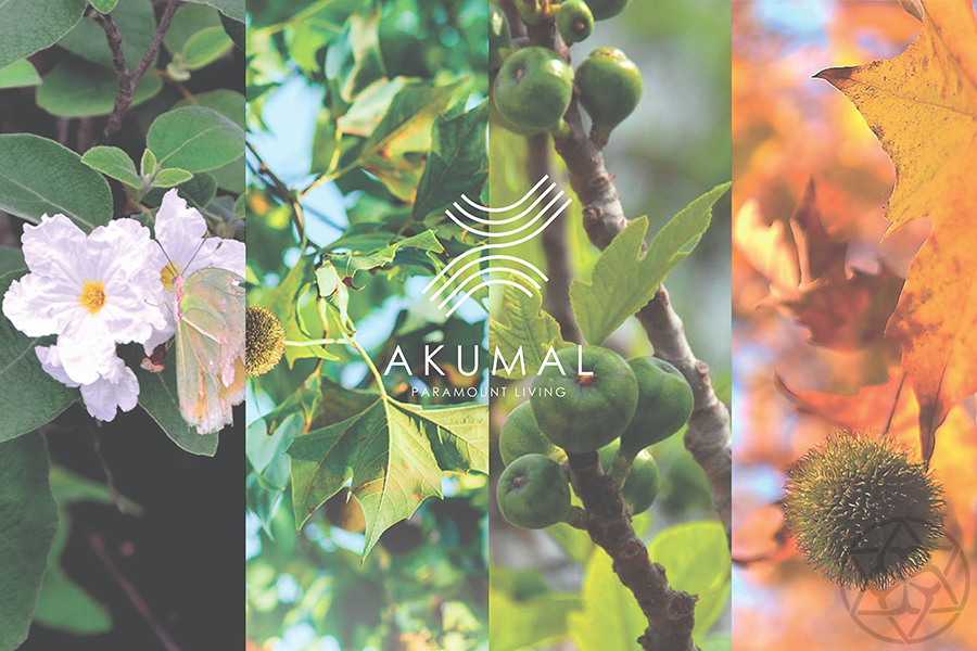 01 Akumal Paramount Living Gaba Yet 101 Residencial